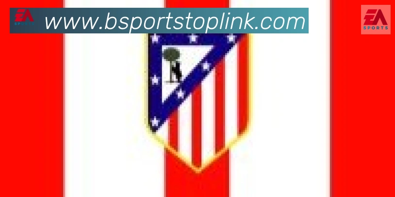 Bsports官网合作伙伴